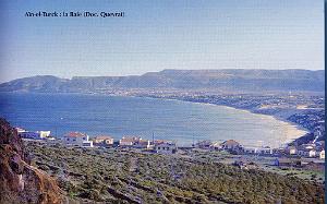 CAP FALCON  (9)